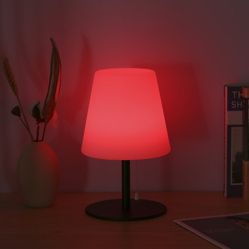 Ebern Designs Arand USB Desk Lamp Wayfair